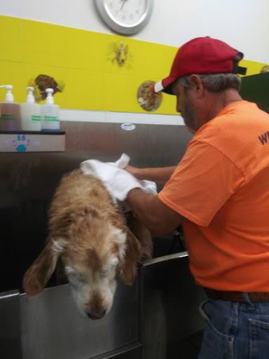 Pet Supply Store «Pet Supplies Plus», reviews and photos, 2433 MacArthur Rd, Whitehall, PA 18052, USA