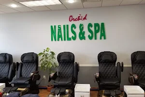 Orchid Nails & Spa image