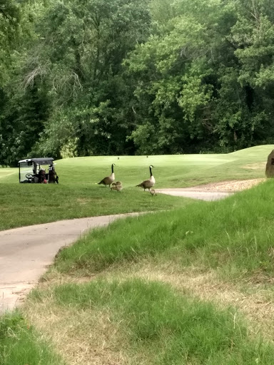 Golf Course «Gaylord Springs Golf Links», reviews and photos, 18 Springhouse Ln, Nashville, TN 37214, USA