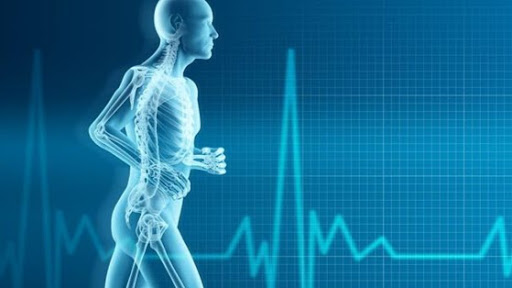 4210 E Baseline Rd, Mesa, AZ 85206, USA