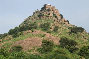 Sajra Fort image