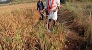 user