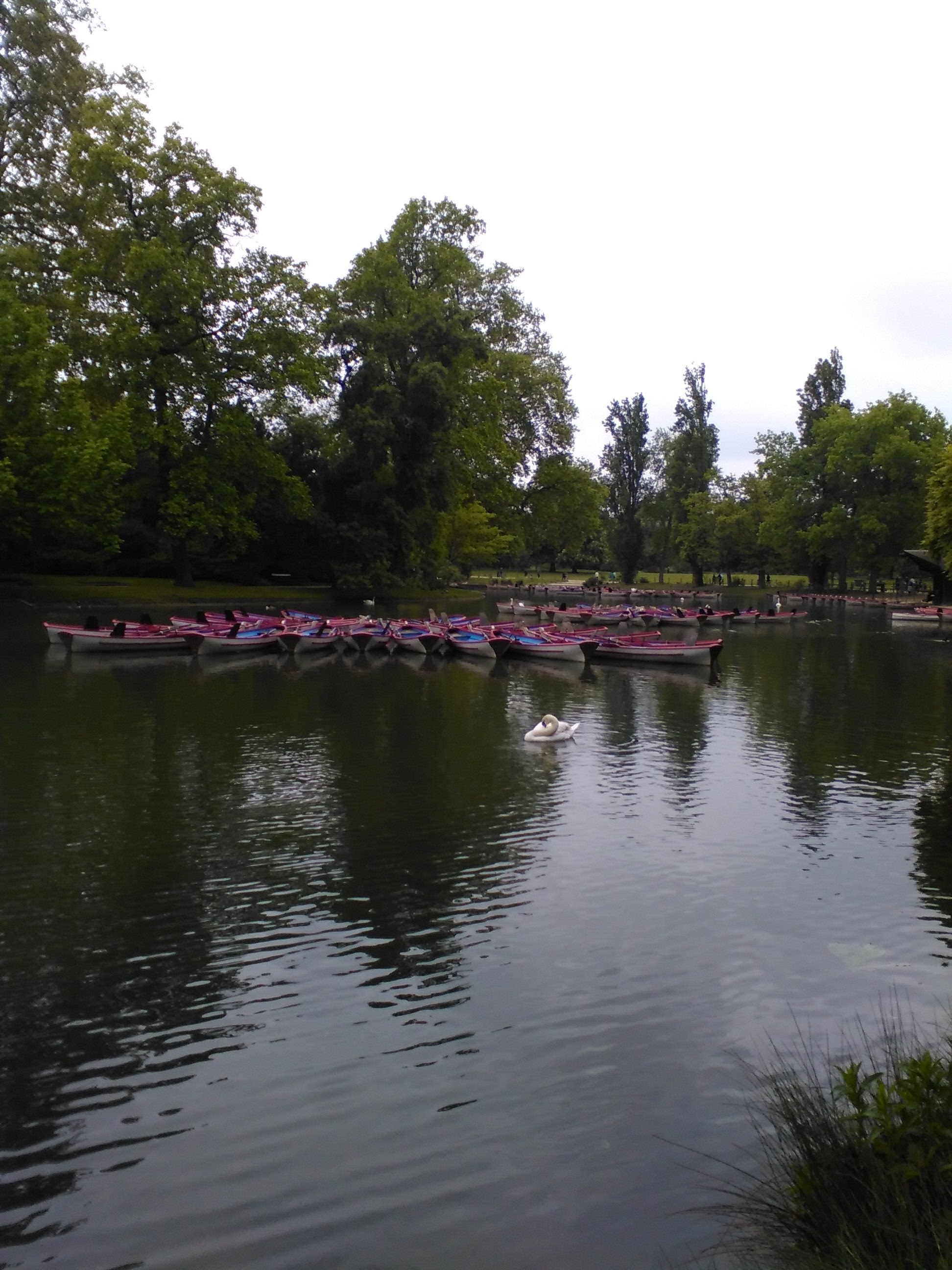 Photo n° 1 de l'avis de Edward.a fait le 08/05/2017 à 18:08