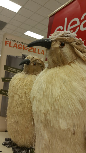 Department Store «Target», reviews and photos, 3885 E Main St, St Charles, IL 60174, USA