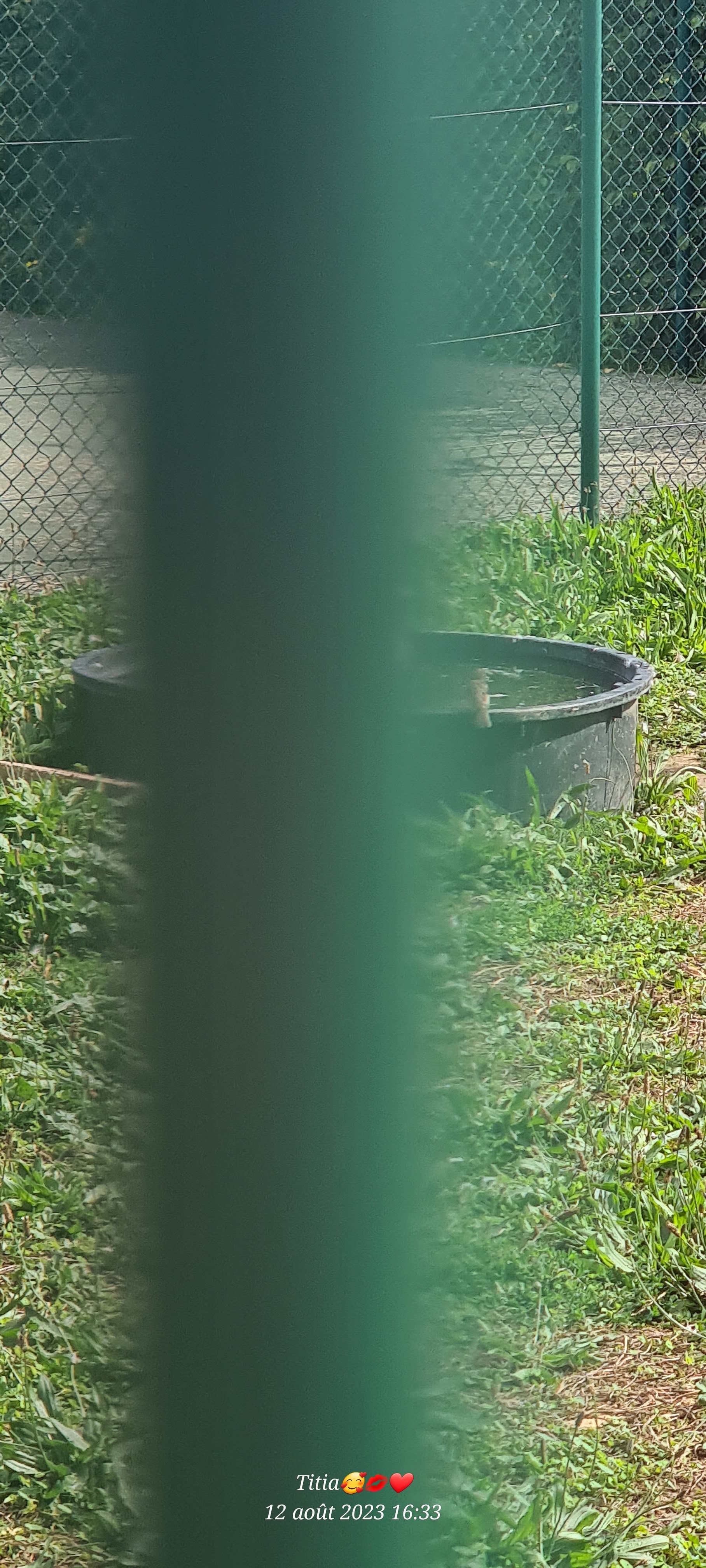 Photo n° 9 de l'avis de Patricia. fait le 12/08/2023 à 17:57