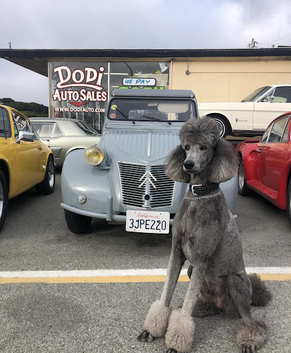 Auto Broker «Dodi Auto Sales», reviews and photos, 2240 Del Monte Ave # A, Monterey, CA 93940, USA