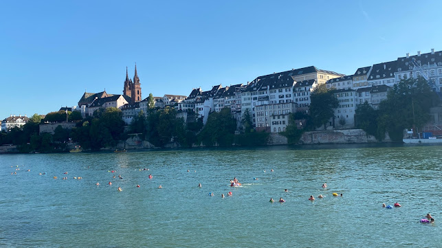 Rezensionen über Schwimmverein beider Basel in Muttenz - Schule