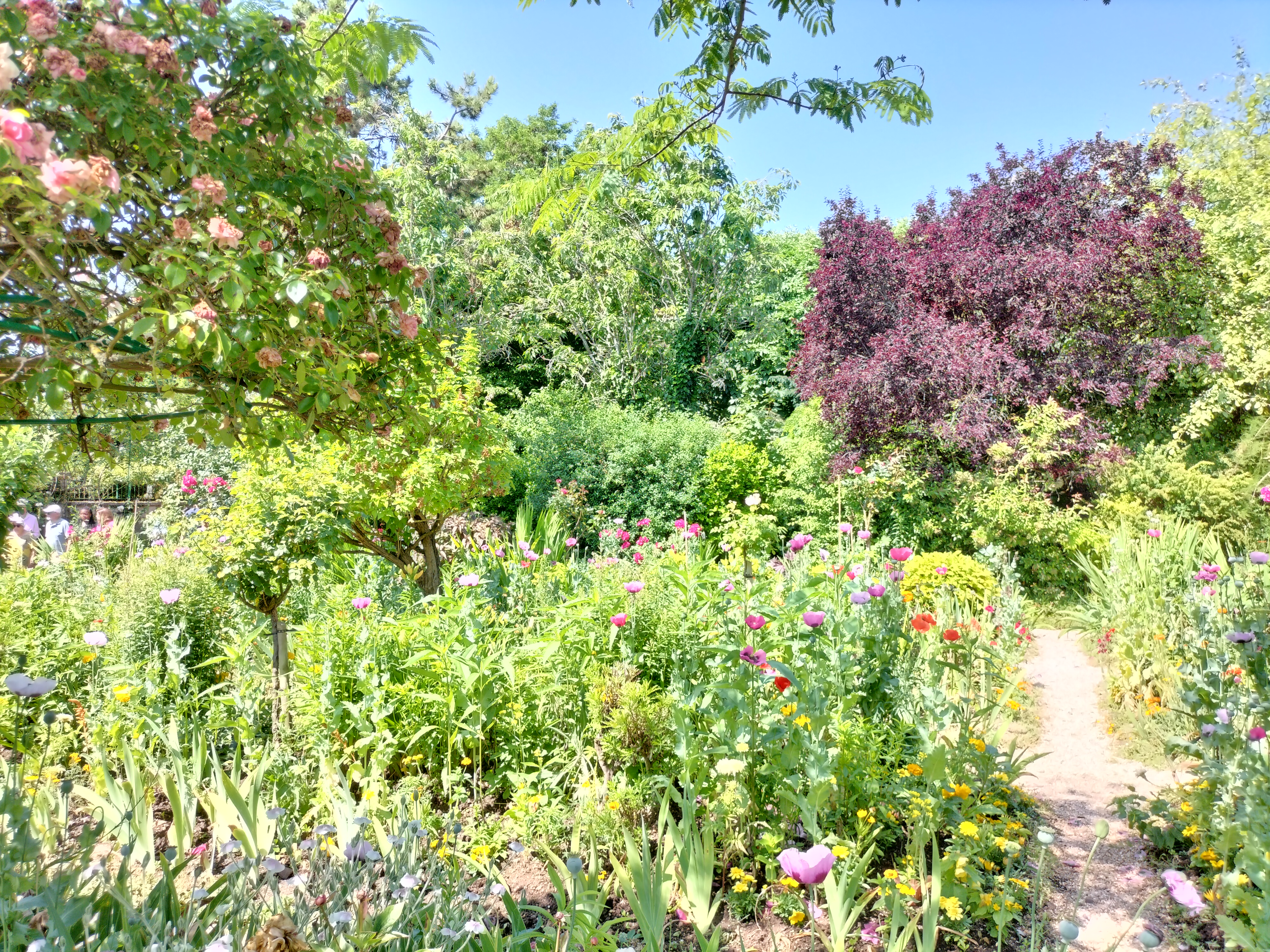 Photo n° 36 de l'avis de didier.e fait le 15/06/2023 à 13:38