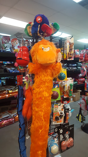 Pet Supply Store «R&S Pet Supplies», reviews and photos, 275 NY-25A #8, Miller Place, NY 11764, USA