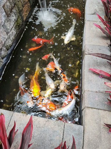 Home Improvement Store «The Home Depot», reviews and photos, 3200 Puente Ave, Baldwin Park, CA 91706, USA