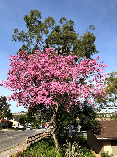 Park «Barnes Park», reviews and photos, 350 S Mc Pherrin Ave, Monterey Park, CA 91754, USA