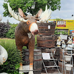 Photo n°3 de l'avis de Carmen.e fait le 29/05/2022 à 13:25 sur le  Kells Restaurant à Klink