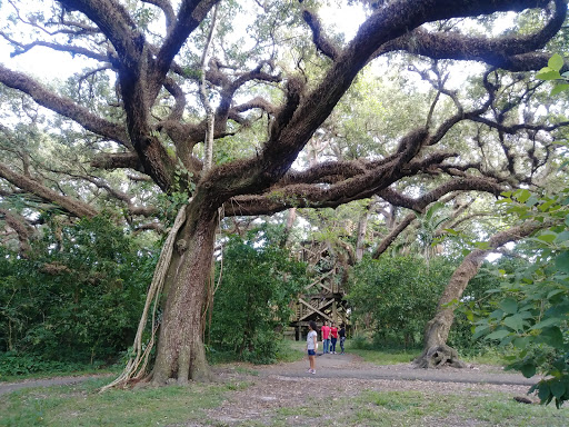 Park «Tree Tops Park», reviews and photos, 3900 SW 100th Ave, Davie, FL 33328, USA