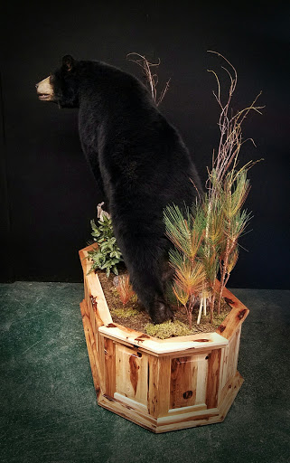 Taxidermist «HighPoint Taxidermy And Outfutters», reviews and photos, 14860 OH-13, Thornville, OH 43076, USA