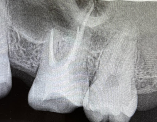 Central Coast Dental Care image