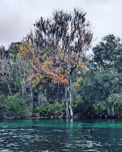 Rainbow River