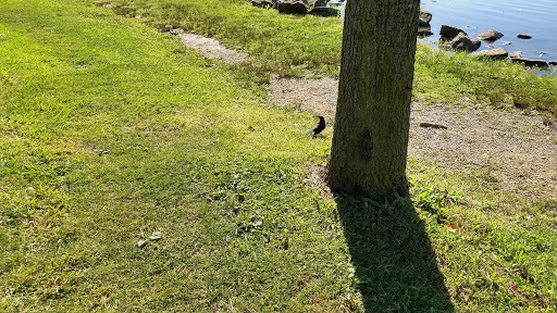 Park «Tuscora Park», reviews and photos, 161 Tuscora Ave NW, New Philadelphia, OH 44663, USA