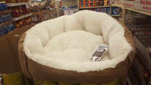 Home Goods Store «Christmas Tree Shops», reviews and photos, 15 Stockwell Dr, Avon, MA 02322, USA