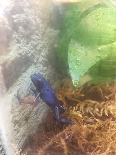 Pet Supply Store «Petco Animal Supplies», reviews and photos, 1320 E Lincoln Way p101, Sparks, NV 89434, USA