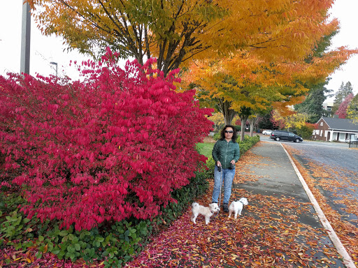 Community Center «Old Redmond Schoolhouse Community Center», reviews and photos, 16600 NE 80th St, Redmond, WA 98052, USA