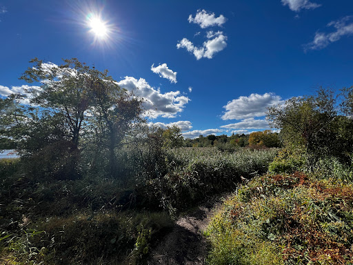 Nature Preserve «The Celery Farm», reviews and photos, Franklin Turnpike, Allendale, NJ 07401, USA
