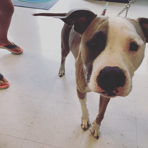 Pet Supply Store «Natural Pet Center», reviews and photos, 3037 13th Ave S, Fargo, ND 58103, USA