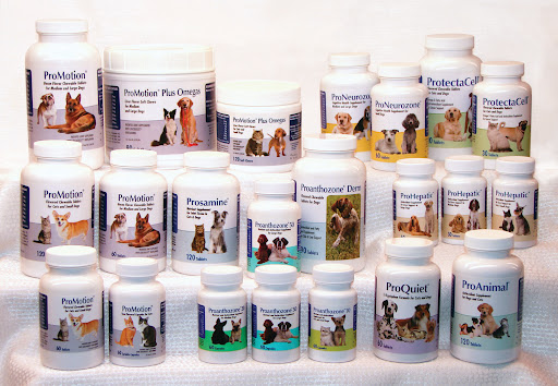 Animal Health Options image