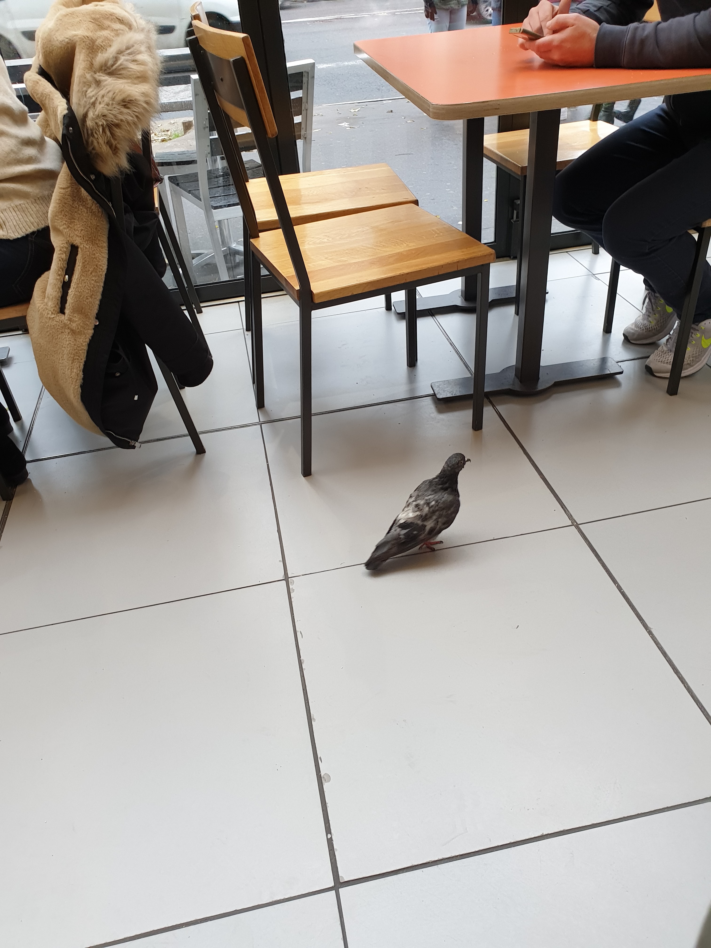 Photo n° 1 de l'avis de Kévin. fait le 01/12/2019 à 13:18