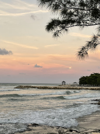 Travel Agency «First Discount Travel», reviews and photos, 4828 Cooper Rd, Cincinnati, OH 45242, USA