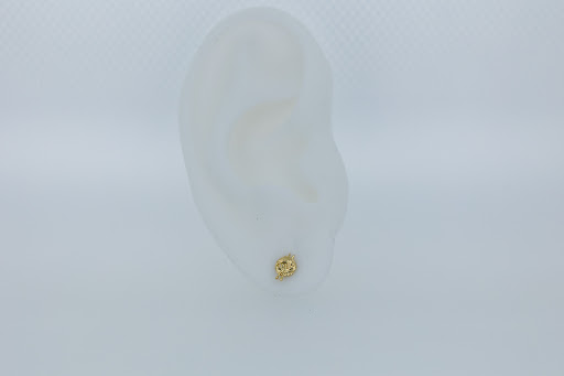 Explore lamb tattoo ideas, creative tattoo ideas in Des Moines, available at Axiom Body Piercing Studio