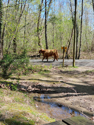 Aire De Xabalo à Sare