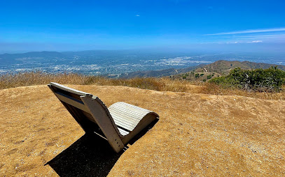 Willie Mann Memorial Chair