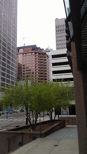 Social Services Organization «Catholic Charities of Kansas City-St. Joseph», reviews and photos