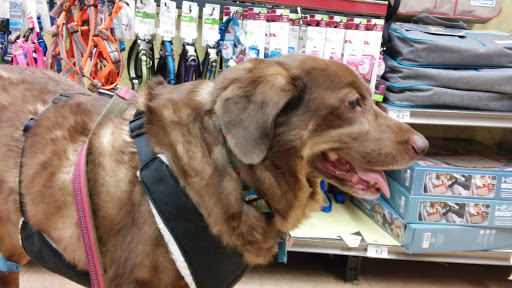 Pet Supply Store «Petco Animal Supplies», reviews and photos, 197 E Dekalb Pike #350, King of Prussia, PA 19406, USA