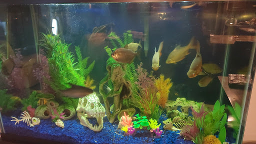 Pet Supply Store «PetSmart», reviews and photos, 1300 John F Kennedy Rd, Dubuque, IA 52002, USA