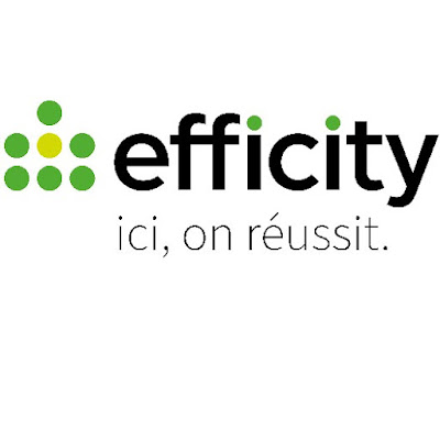 Consultant immobilier effiCity : Guillaume Testa - Lyon à Lyon