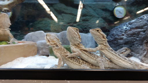 Pet Supply Store «Petco Animal Supplies», reviews and photos, 1 US-46, Totowa, NJ 07512, USA