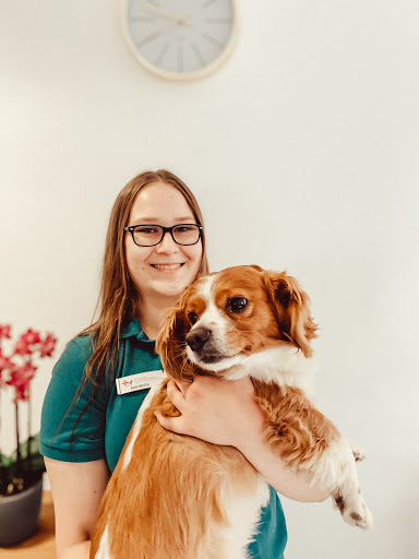 Tierarzt Dr. Capellmann GmbH - Kleintierpraxis unter Remscheid, Nordrhein-Westfalen