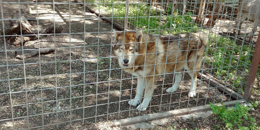 Zoo «Cricket Hollow Zoo», reviews and photos, 1512 210th St, Manchester, IA 52057, USA