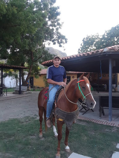 Los ARENAS CABALLO