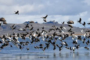 Tule Lake National Wildlife Refuge image