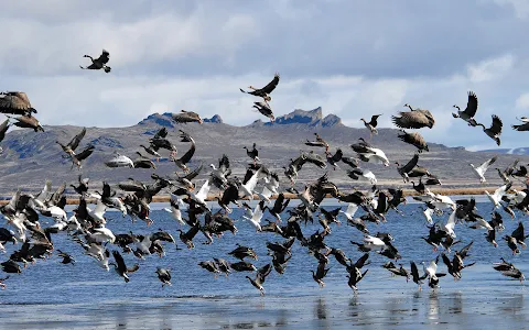 Tule Lake National Wildlife Refuge image