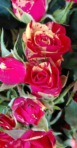 Супермаркет "Лазур" - Супермаркет