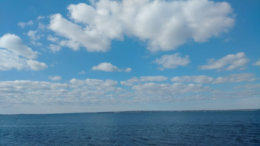 Educational Institution «The Audubon Society of Rhode Island Environmental Education Center», reviews and photos, 1401 Hope St, Bristol, RI 02809, USA