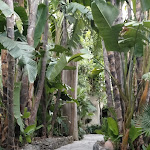 Photo n°9 de l'avis de Ivano. fait le 24/08/2022 à 08:12 sur le  Hotel La Villarosa Terme à Ischia