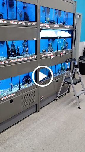 Pet Supply Store «Pet Supplies Plus», reviews and photos, 211 Golden Isles Plaza, Brunswick, GA 31520, USA