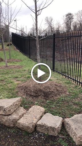 Park «Dinosaur Park», reviews and photos, 13100 Mid Atlantic Blvd, Laurel, MD 20708, USA