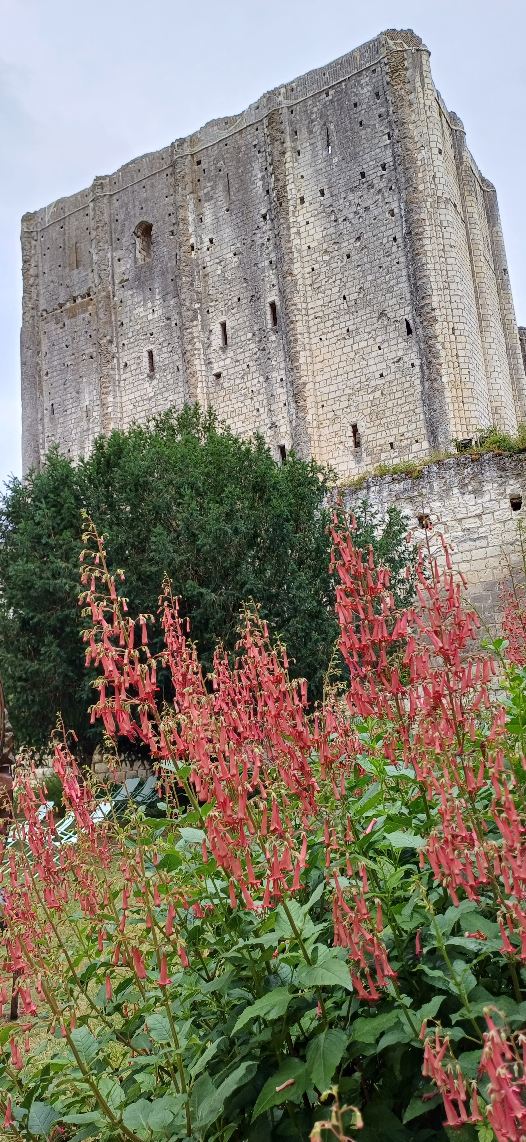 Photo n° 3 de l'avis de Sébastien.a fait le 22/06/2023 à 16:44