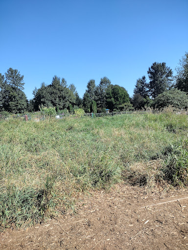 Concert Hall «Marymoor Park Concerts», reviews and photos, 6046 West Lake Sammamish Pkwy NE, Redmond, WA 98052, USA