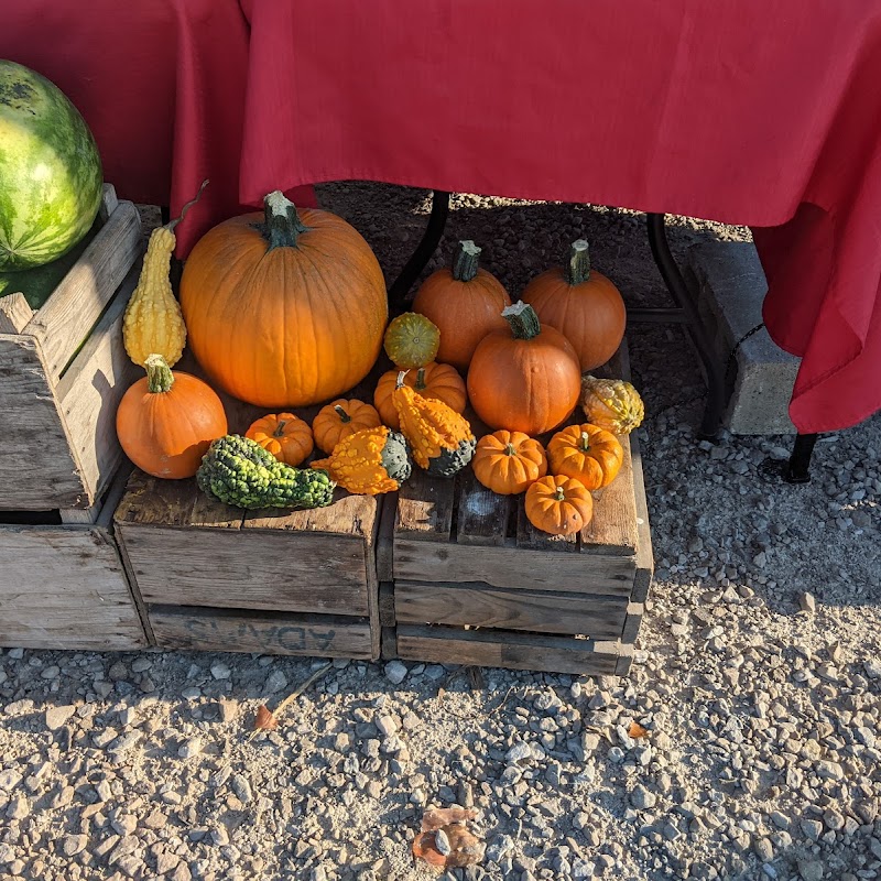 Amherstburg Farmers Market at GL Heritage Brewery